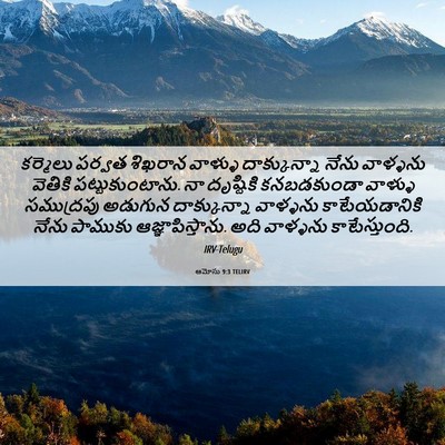 Picture 06 - ఆమోసు 9:3 TELIRV - కర్మెలు పర్వత - Bible Verse Picture