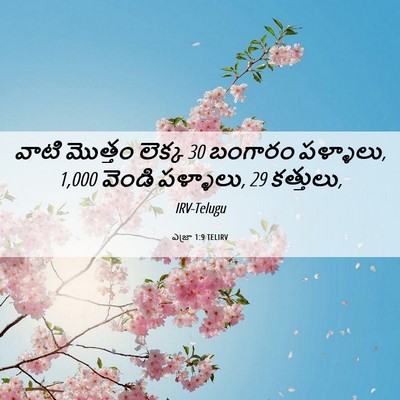 Picture 06 - ఎజ్రా 1:9 TELIRV - వాటి మొత్తం లెక్క - Bible Verse Picture