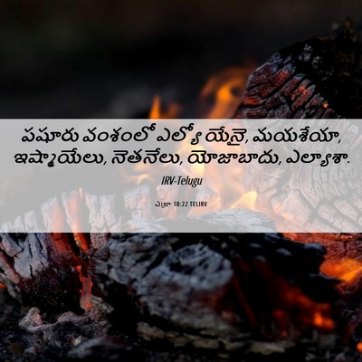 Picture 06 - ఎజ్రా 10:22 TELIRV - పషూరు వంశంలో - Bible Verse Picture