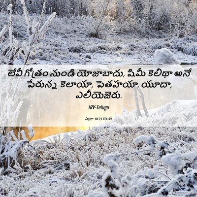 Picture 06 - ఎజ్రా 10:23 TELIRV - లేవీ గోత్రం నుండి - Bible Verse Picture