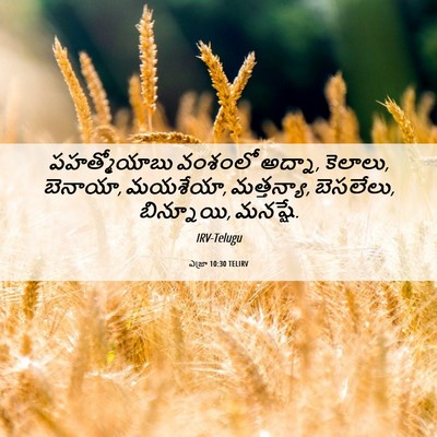 Picture 06 - ఎజ్రా 10:30 TELIRV - పహత్మోయాబు వంశంలో - Bible Verse Picture