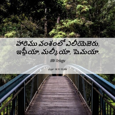 Picture 06 - ఎజ్రా 10:31 TELIRV - హారిము వంశంలో - Bible Verse Picture