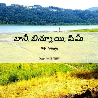 Picture 06 - ఎజ్రా 10:38 TELIRV - బానీ, బిన్నూయి, - Bible Verse Picture