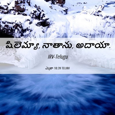 Picture 06 - ఎజ్రా 10:39 TELIRV - షిలెమ్యా, నాతాను, - Bible Verse Picture