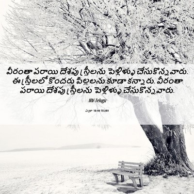 Picture 06 - ఎజ్రా 10:44 TELIRV - వీరంతా పరాయి - Bible Verse Picture