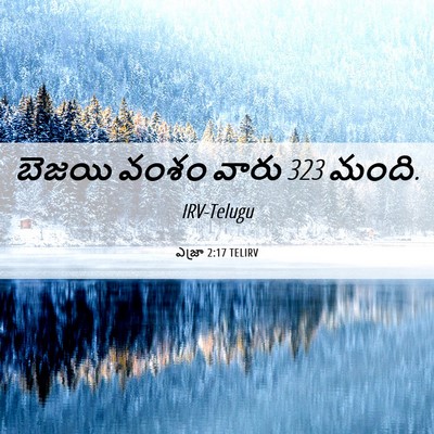 Picture 06 - ఎజ్రా 2:17 TELIRV - బెజయి వంశం వారు 323 - Bible Verse Picture