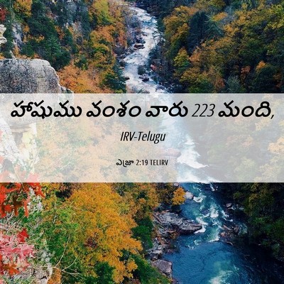 Picture 06 - ఎజ్రా 2:19 TELIRV - హాషుము వంశం వారు 223 - Bible Verse Picture