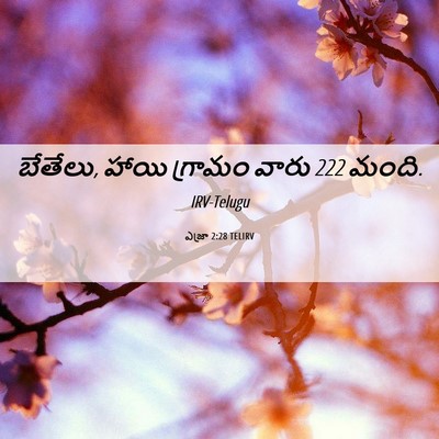 Picture 06 - ఎజ్రా 2:28 TELIRV - బేతేలు, హాయి - Bible Verse Picture
