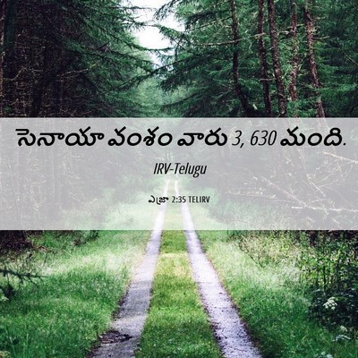 Picture 06 - ఎజ్రా 2:35 TELIRV - సెనాయా వంశం వారు 3, - Bible Verse Picture