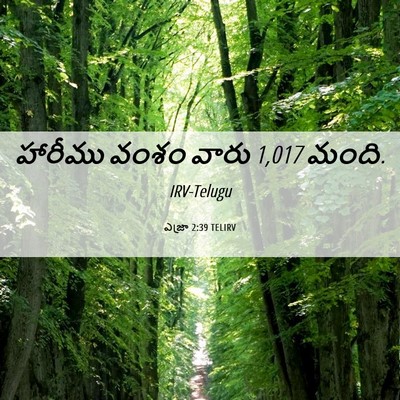 Picture 06 - ఎజ్రా 2:39 TELIRV - హారీము వంశం వారు - Bible Verse Picture