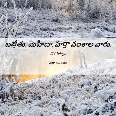 Picture 06 - ఎజ్రా 2:52 TELIRV - బజ్లీతు, మెహీదా, - Bible Verse Picture