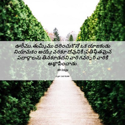 Picture 06 - ఎజ్రా 2:63 TELIRV - ఊరీము, తుమ్మీము - Bible Verse Picture