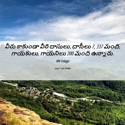 Picture 06 - ఎజ్రా 2:65 TELIRV - వీరు కాకుండా వీరి - Bible Verse Picture