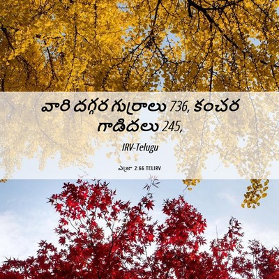 Picture 06 - ఎజ్రా 2:66 TELIRV - వారి దగ్గర - Bible Verse Picture