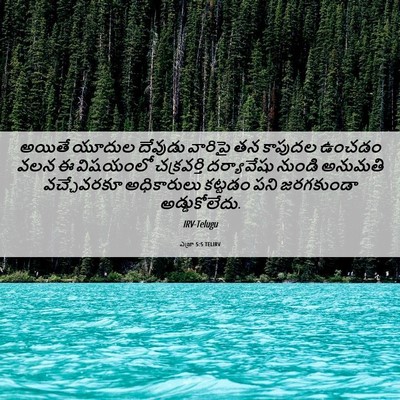 Picture 06 - ఎజ్రా 5:5 TELIRV - అయితే యూదుల - Bible Verse Picture