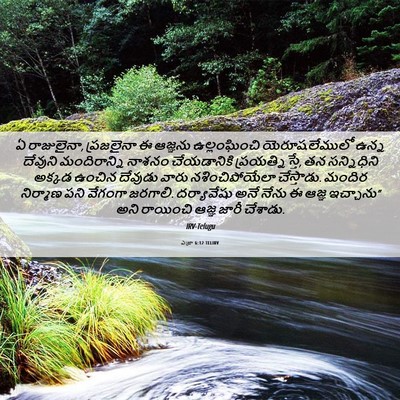 Picture 06 - ఎజ్రా 6:12 TELIRV - ఏ రాజులైనా, - Bible Verse Picture