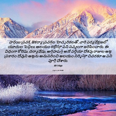 Picture 06 - ఎజ్రా 6:14 TELIRV - హగ్గయి ప్రవక్త, - Bible Verse Picture