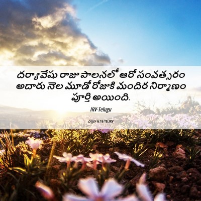 Picture 06 - ఎజ్రా 6:15 TELIRV - దర్యావేషు రాజు - Bible Verse Picture