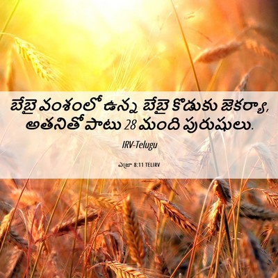 Picture 06 - ఎజ్రా 8:11 TELIRV - బేబై వంశంలో ఉన్న - Bible Verse Picture
