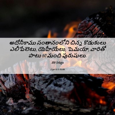 Picture 06 - ఎజ్రా 8:13 TELIRV - అదోనీకాము - Bible Verse Picture