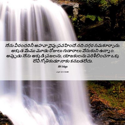 Picture 06 - ఎజ్రా 8:15 TELIRV - నేను వీరందరినీ - Bible Verse Picture