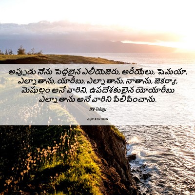 Picture 06 - ఎజ్రా 8:16 TELIRV - అప్పుడు నేను - Bible Verse Picture