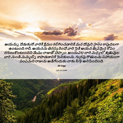 Picture 06 - ఎజ్రా 8:22 TELIRV - ఆయన్ను వేడుకునే - Bible Verse Picture