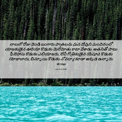 Picture 06 - ఎజ్రా 8:33 TELIRV - నాలుగో రోజు వెండి - Bible Verse Picture