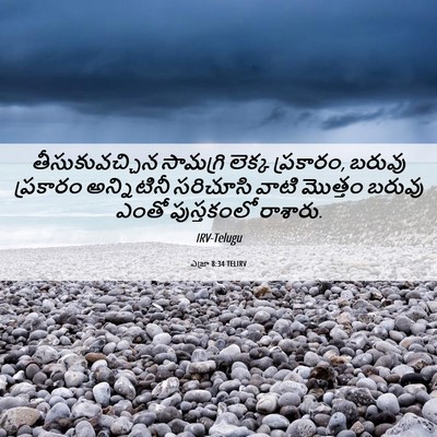 Picture 06 - ఎజ్రా 8:34 TELIRV - తీసుకువచ్చిన - Bible Verse Picture