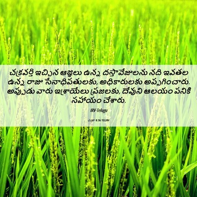 Picture 06 - ఎజ్రా 8:36 TELIRV - చక్రవర్తి ఇచ్చిన - Bible Verse Picture