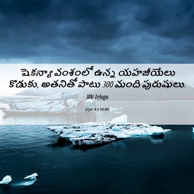 Picture 06 - ఎజ్రా 8:5 TELIRV - షెకన్యా వంశంలో - Bible Verse Picture