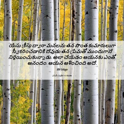 Picture 06 - ఎఫెసీ పత్రిక 1:5 TELIRV - యేసు క్రీస్తు - Bible Verse Picture