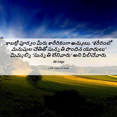 Picture 06 - ఎఫెసీ పత్రిక 2:11 TELIRV - కాబట్టి పూర్వం - Bible Verse Picture