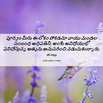 Picture 06 - ఎఫెసీ పత్రిక 2:2 TELIRV - పూర్వం మీరు ఈ లోకం - Bible Verse Picture
