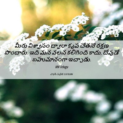 Picture 06 - ఎఫెసీ పత్రిక 2:8 TELIRV - మీరు విశ్వాసం - Bible Verse Picture