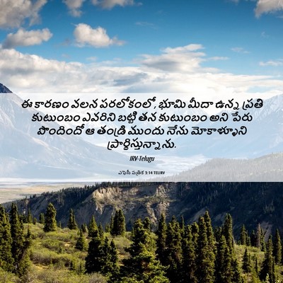 Picture 06 - ఎఫెసీ పత్రిక 3:14 TELIRV - ఈ కారణం వలన - Bible Verse Picture