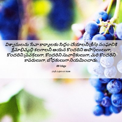Picture 06 - ఎఫెసీ పత్రిక 4:11 TELIRV - విశ్వాసులను సేవా - Bible Verse Picture