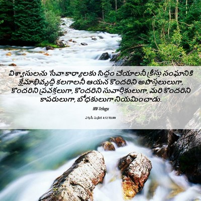 Picture 06 - ఎఫెసీ పత్రిక 4:12 TELIRV - విశ్వాసులను సేవా - Bible Verse Picture