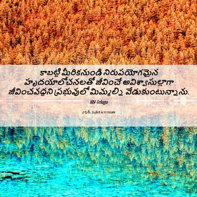 Picture 06 - ఎఫెసీ పత్రిక 4:17 TELIRV - కాబట్టి - Bible Verse Picture