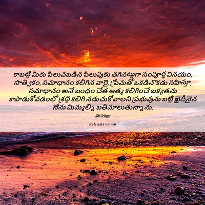 Picture 06 - ఎఫెసీ పత్రిక 4:2 TELIRV - కాబట్టి మీరు - Bible Verse Picture