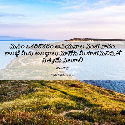 Picture 06 - ఎఫెసీ పత్రిక 4:25 TELIRV - మనం ఒకరికొకరం - Bible Verse Picture