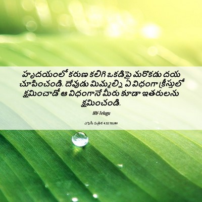 Picture 06 - ఎఫెసీ పత్రిక 4:32 TELIRV - హృదయంలో కరుణ - Bible Verse Picture