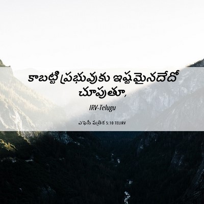 Picture 06 - ఎఫెసీ పత్రిక 5:10 TELIRV - కాబట్టి ప్రభువుకు - Bible Verse Picture