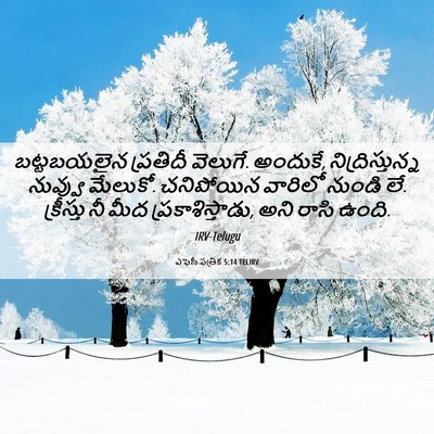 Picture 06 - ఎఫెసీ పత్రిక 5:14 TELIRV - బట్టబయలైన ప్రతిదీ - Bible Verse Picture