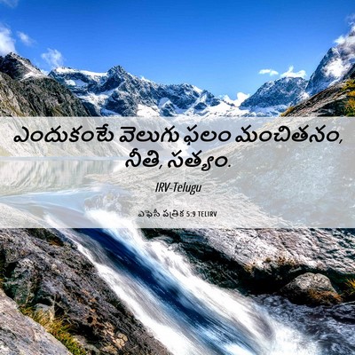 Picture 06 - ఎఫెసీ పత్రిక 5:9 TELIRV - ఎందుకంటే వెలుగు - Bible Verse Picture