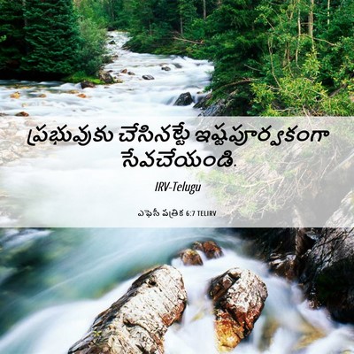 Picture 06 - ఎఫెసీ పత్రిక 6:7 TELIRV - ప్రభువుకు - Bible Verse Picture