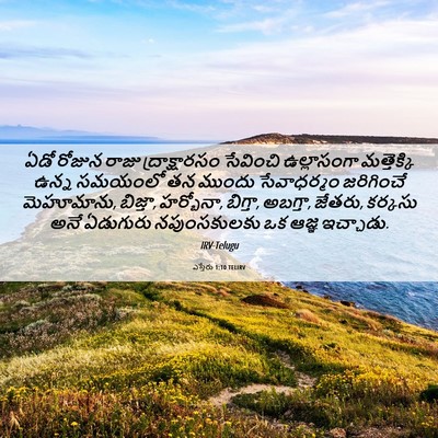 Picture 06 - ఎస్తేరు 1:10 TELIRV - ఏడో రోజున రాజు - Bible Verse Picture