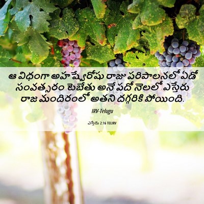 Picture 06 - ఎస్తేరు 2:16 TELIRV - ఆ విధంగా - Bible Verse Picture