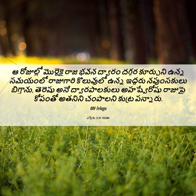 Picture 06 - ఎస్తేరు 2:21 TELIRV - ఆ రోజుల్లో - Bible Verse Picture