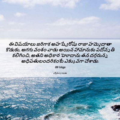 Picture 06 - ఎస్తేరు 3:1 TELIRV - ఈ విషయాలు జరిగాక - Bible Verse Picture